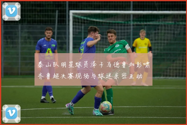 泰山队明星球员泽卡马德鲁加彭啸齐鲁超决赛现场与球迷亲密互动