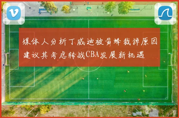 媒体人分析丁威迪被黄蜂裁掉原因建议其考虑转战CBA发展新机遇