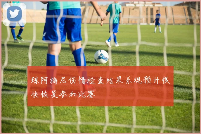 琼阿梅尼伤情检查结果乐观预计很快恢复参加比赛