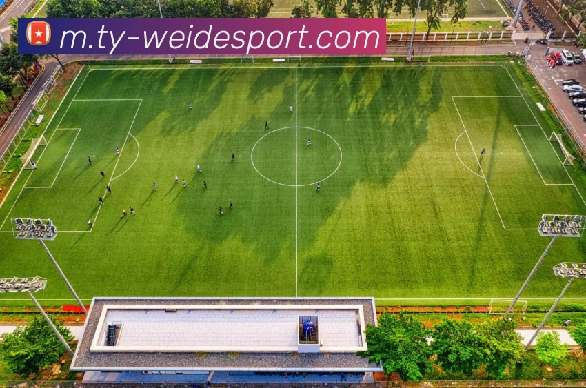 App Interface Preview