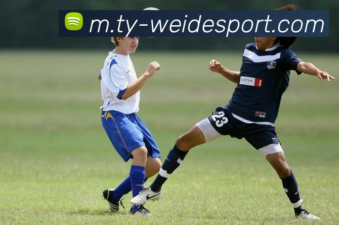 伟德体育APP 封面图