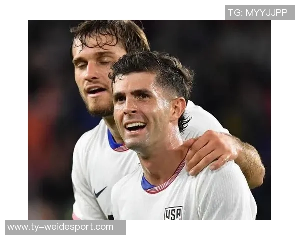 意大利裁判协会支持普利西奇进球有效性引发热议